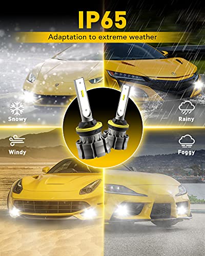 AUXITO 880 LED Fog Light Bulbs, 6000LM 6500K Cool White Light, 300% Brightness 885 893 899 Led Fog Lights, CSP LED Chips, DRL Replacement for Cars, Pack of 2