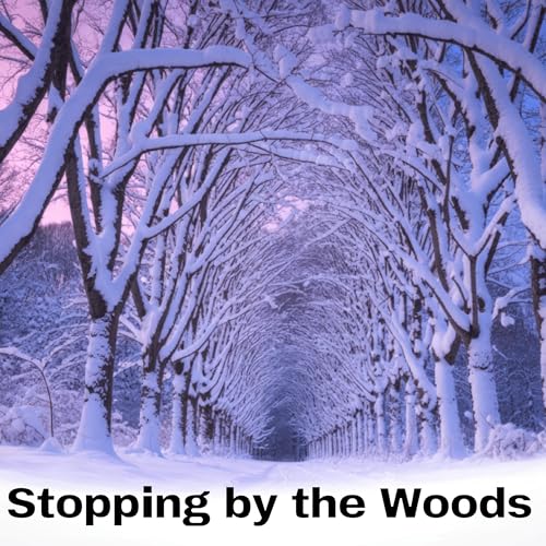 Stopping by the Woods All