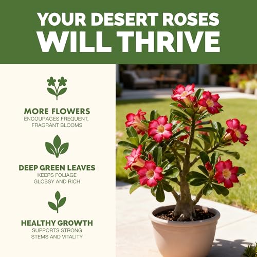 Desert Rose Fertilizer líquido 8 oz miniatura 2
