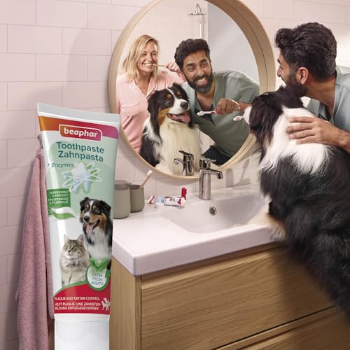 Beaphar Zahnpasta Pfefferminz & Petersilie, 100g