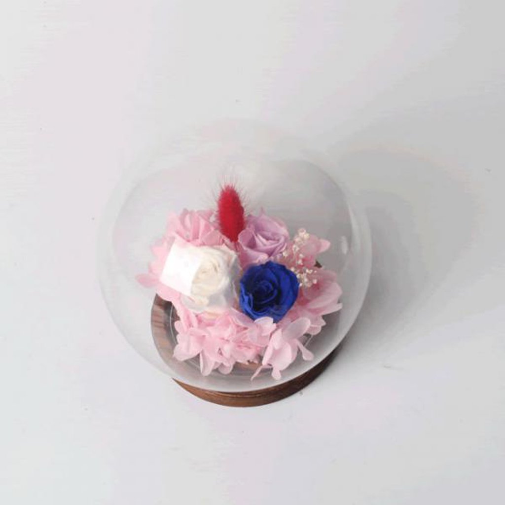Bnf® Glass Cover DIY Micro Landscape Display Terrarium Vase with Flower|Home & Garden | Home Dcor| Vases-image-35