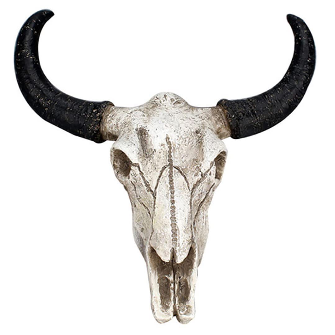 Buy Liummrcy Wall Decor,Longhorn Steer Skull Wall ed Hanging Gothic