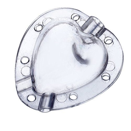 FOReverweihuajz Strawberry Shaping Mold Set,Garden Heart Shape DIY Fruit Growth Forming Mould Tool Sets with Tire Wire - Transparent