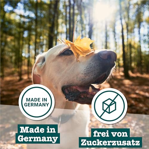 Chewies Hundeleckerli Mix - 6 x 125 g - Rind, Pansen, Geflügel, Lamm, Wild & Lachs Knöchelchen - Hundesnacks zuckerfrei & mit hohem Fleischanteil (750 g)