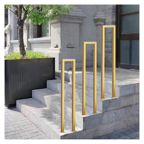 ؐ Ki 肷 3U^肷KiOLAp[gBp 萠(65cm)