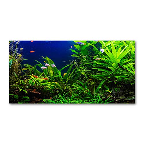 Fond de hotte paysage de poissons pour protéger et décorer le mur de votre cuisine