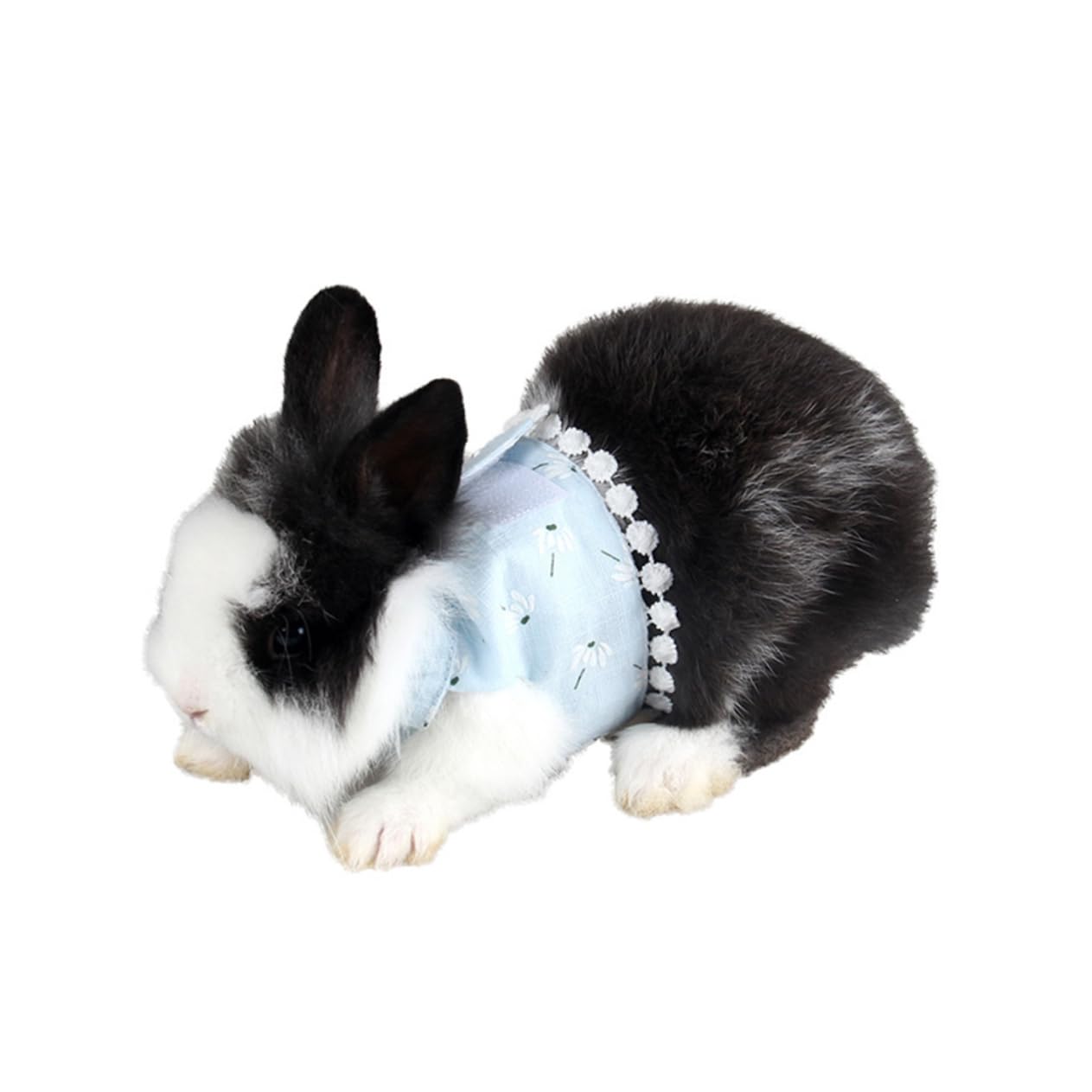 DOITOOL 3stücke Kleine Haustiergeschirr Mit Leine Verstellbar Atmungsaktiv Für Meerschweinchen Hamster Kaninchen Und Mehr Blau Sicherer Halt Für Und Ausflüge