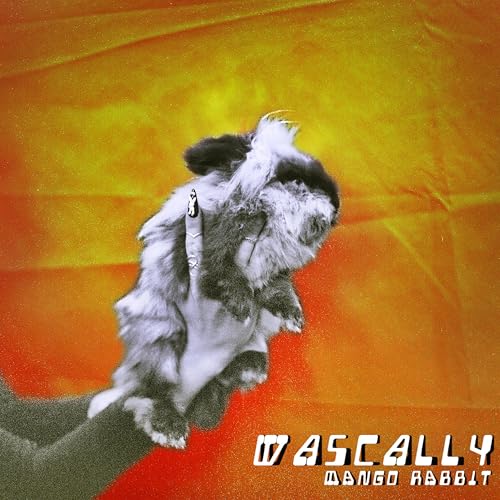 Wascally Rabbit Amazon.co.jp: Wascally : Mango Rabbit: デジタルミュージック