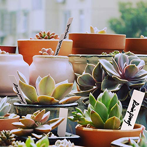 Plant Labels, ZOUTOG 1000 Pcs Plastic Plant Tags 4 Inch Garden Makers with Pen - Thumbnail 6