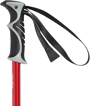 BURTON× トレッキングポール 黒/赤 楽天市場】マジックマウンテン クワトロショート SLS II(1本