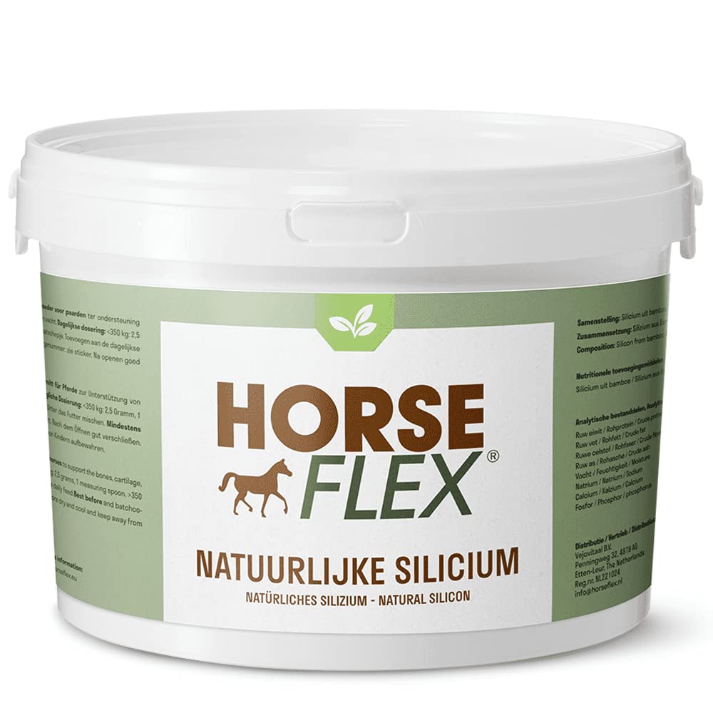 Poudre de silicium naturel pour chevaux 250 g soutien os cartilage tendons sabots pelage