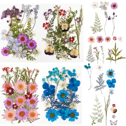 Set de flores secas prensadas 81 piezas multicolor miniatura 1