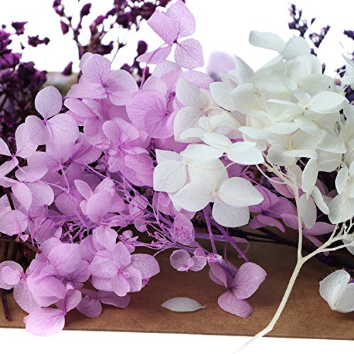 Flores secas decorativas variadas 131 piezas para manualidades miniatura 5