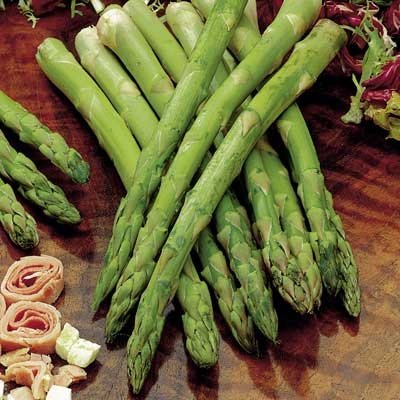 Bhajanlal Greenery - Superb Seeds Asparagus Mary Wahington -30 Seeds (B01MEES5R8) Amazon Price History, Amazon Price Tracker
