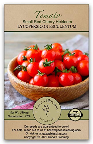 Gaea's Blessing Seeds - Tomato Seeds - Small Red Cherry Heirloom ...