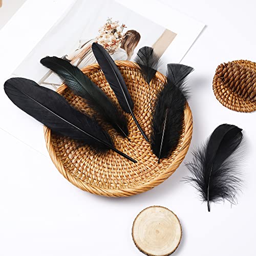 Larryhot Black Craft Feathers Bulk - 240Pcs 6 Style Mixed Natural Feathers For Wedding Home Party, Dream Catcher Supplies And Diy Crafts (Black) #TOP4