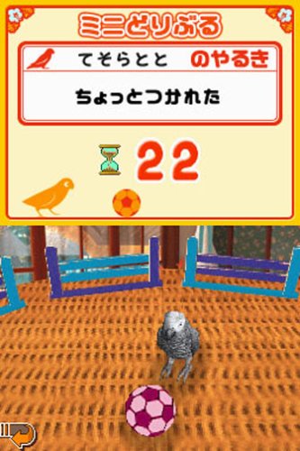 Amazon | おしゃべりオウム | ゲームソフト