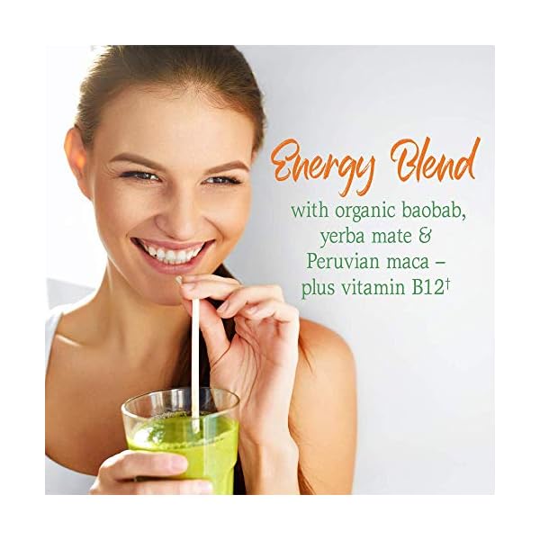 Garden-of-Life-Raw-Organic-Perfect-Food-Energizer-Juiced-Green-Superfood-Powder-Yerba-Mate-Pomegranate-Probiotics-Gluten-Free-Whole-Food-Greens-Supplements-30-Servings-973-Oz Garden of Life Raw Organic Perfect Food Energizer Juiced Green Superfood Powder - Yerba Mate Pomegranate, 30 Servings, Green Superfood Powder & Probiotics, Gluten Free Whole Food Greens Supplements