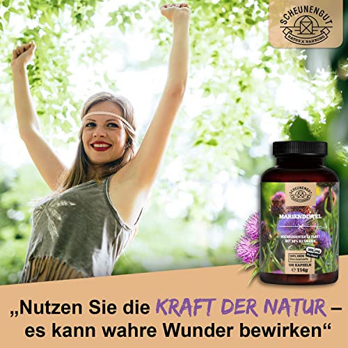 Mariendistel Kapseln von Scheunengut mit 1500mg Silymarin