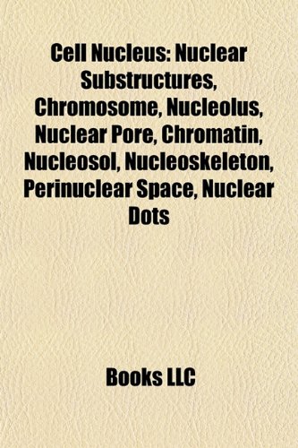 Cell Nucleus: Nuclear Substructures, Chromosome, Nucleolus, Nuclear ...
