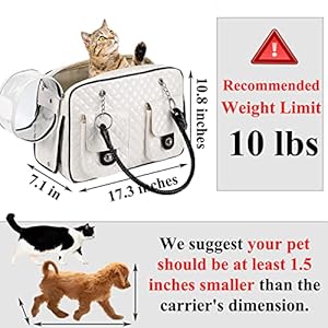 Fashion Pet Carrier, Small Dog Carrier, Cat Carrier, Quality PU Leather Dog Purse, Collapsible Portable Pet Carrying Handbag for Travel Walking Hiking - White Fashion Pet Carrier, Small Dog Carrier, Cat Carrier, Quality PU Leather Dog Purse, Collapsible Portable Pet Carrying Handbag for Travel Walking Hiking – White