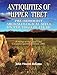 Antiquities of upper Tibet: An inventory of pre-Buddhist archaeological sites on the high plateau : findings of the Upper Tibet Circumnavigation Expedition, 2000
