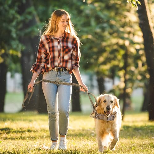 Ledeak Militär-Hundehalsband mit Kommandogriff, Verstellbares Nylon-Hundehalsband mit Metallschnalle für mittlere und große Hunde (M, Braun)