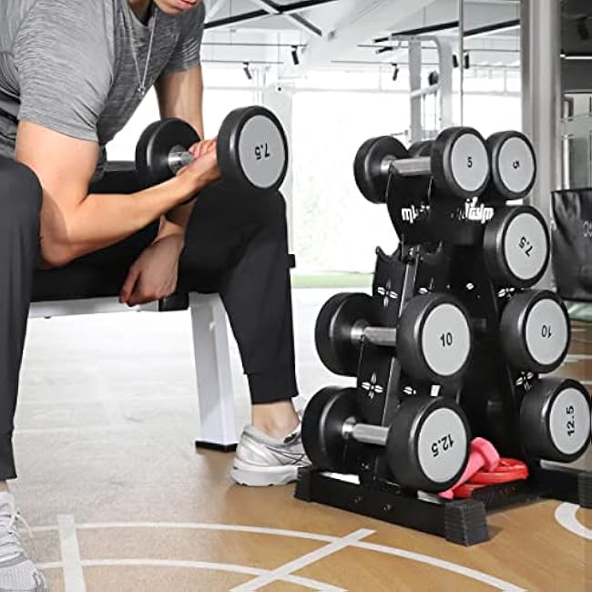 Dumbbells Rack Weight Stand (Rack Only), 13GA Steel Constructed,Max Support 570lbs, 4 Tier Compact Design