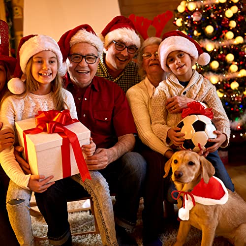 Hund Weihnachtskostüm, Haustier Weihnachtskostüm, Hund Weihnachtskostüm für Hunde Katzen, Weihnachtskleid, Hundekleidung rot, für Kleine Hunde Katzen Haustier