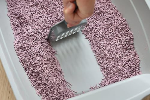 Image of PetVogue Tofu Cat Litter, 7L Clumping, 99.9% Dust Free Unscented Tofu Super Absorbent Litter, Natural, Lightweight and Low Tracking Cat Litter Pellets, Control Kitty Litter - Easy Scoopable