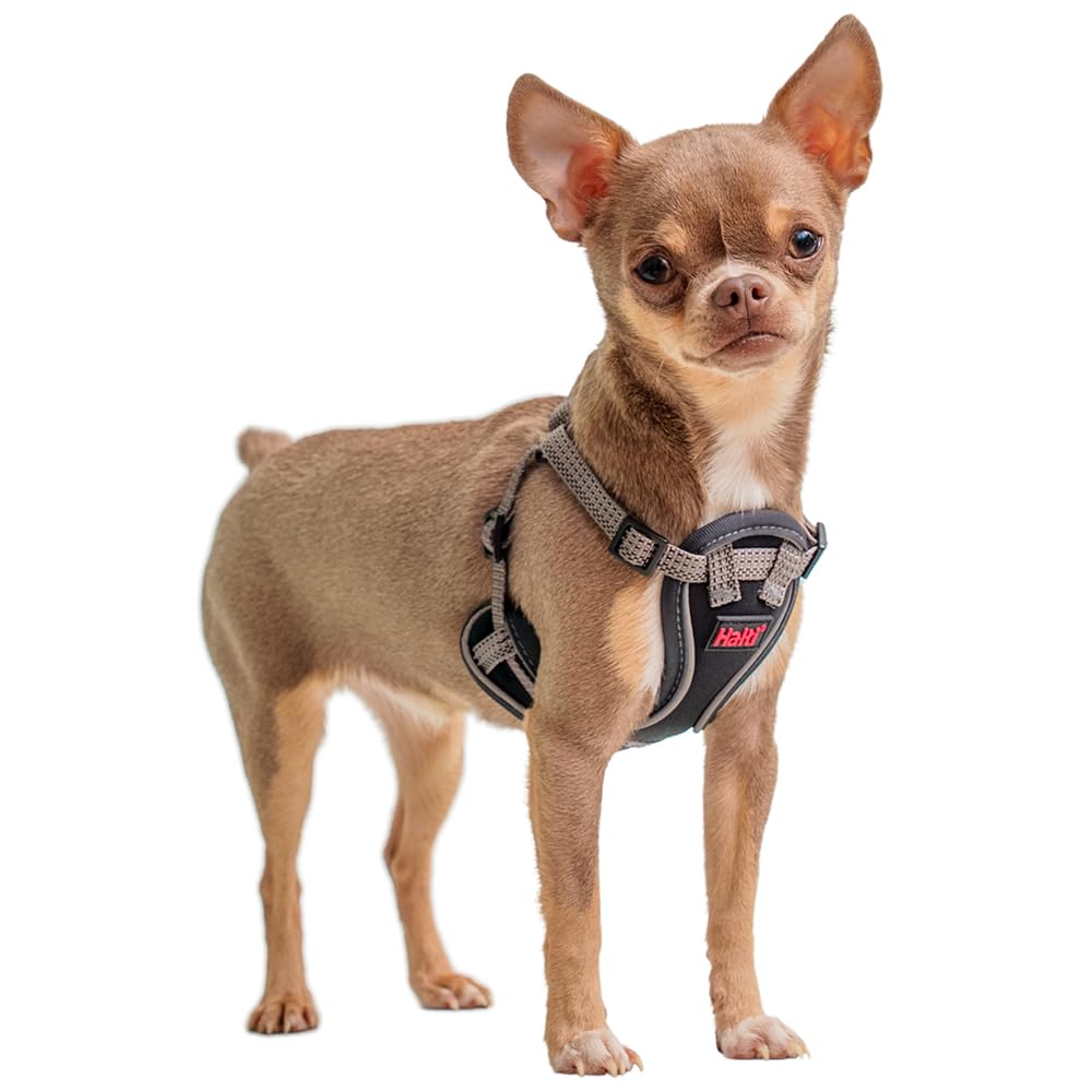 Halti Anatomy Puppy & Small Dog Harness - Soft & Comfortable Step-in Harness, 4 Adjustable Points, Lightweight & Reflective, For Miniature and Toy Dog Breeds (Size XXS, Grey)