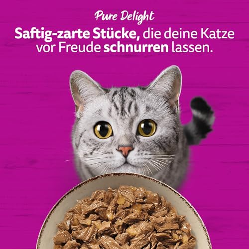 Whiskas 1+ Katzennassfutter Ragout Geflügel Auswahl in Gelee, 40x85g (1 Packung) – Hochwertiges Nassfutter für ausgewachsene Katzen in 40 Portionsbeuteln