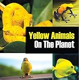 Yellow Animals On The Planet: Animal Encyclopedia for Kids (Colorful Animals on the Planet Book 4)