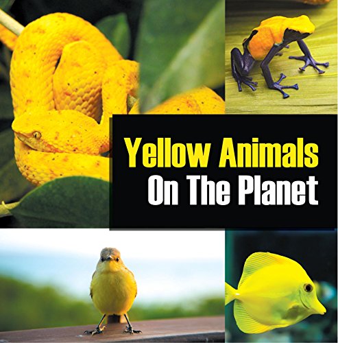 Yellow Animals On The Planet: Animal Encyclopedia for Kids (Colorful Animals on the Planet Book 4)