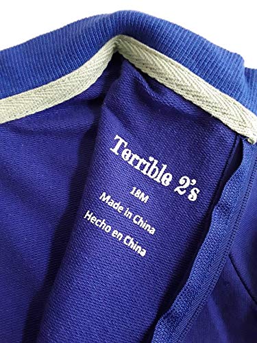 Terrible 2's Strip Proof One-Piece Romper with a Back Zipper in Blue/White4