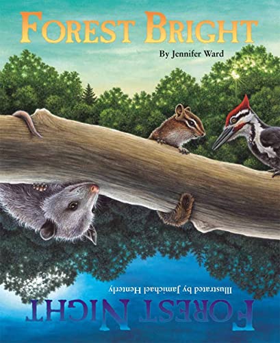 Forest Bright, Forest Night: A Day-to-Night Counting Adventure