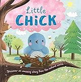  Little Chick: Padded Board Book (Nature Stories)