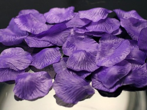 Sideso® 1000 Petali di Rose Viola Petali di Rosa