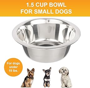 7 Best Stainless Steel Bowls for Small Dogs Durable, Safe 8 51Vf+8hfFdL. AC SL289