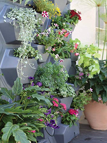 Fenêtre latérale pour serres Rion Canopia complément d'aération abri de jardin