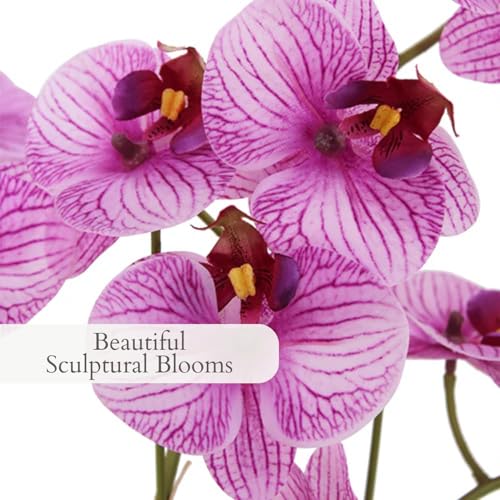 Image of CG Hunter, Faux Orange Orchid Plant, 23 in, White, Home Decor