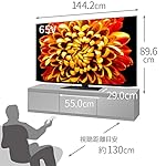 シャープのテレビ 4T-C65DP1