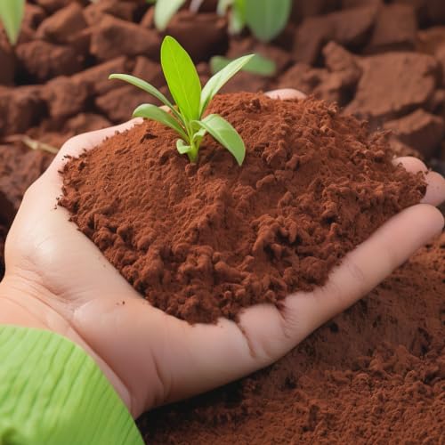 Image of Natural Coco Peat 500 gm Growing Organic Fertilizer and Soil Manure Potting Mixture for Home Gardening and Potted Plants
