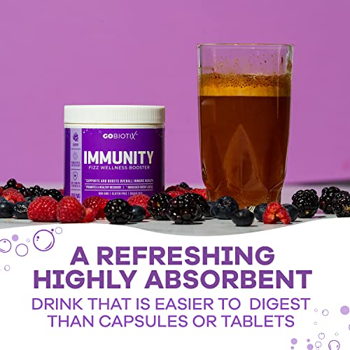 Gobiotix Immune Support Supplement - Immunity Defense Powder Wellness Booster - Immune Boost Vegan Superfood - Elderberry, Turmeric, Vitamin C Powder And B12 Supplement, Non-Gmo, Sugar Free (Berry) #TOP3