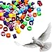 Weewooday 300 Pieces 8 mm Bird Ring Leg Bands Plastic Multi-Colour Pigeon Foot Bands Clip on Leg Rings for Chicks Bantam Finch Dove Lovebird Quail Small Poultry
