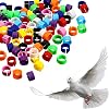 Weewooday 300 Pieces 8 mm Bird Ring Leg Bands Plastic Multi-Colour Pigeon Foot Bands Clip on Leg Rings for Chicks Bantam…