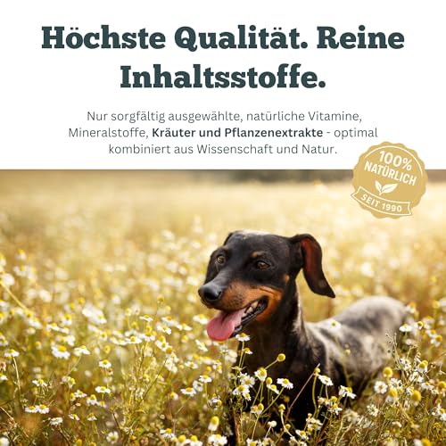 Smooth Locomotion - Gelenktabletten für Hunde bei Rücken- & Hinterhandproblemen, Arthrose & Aufstehschwierigkeiten – natürliche Unterstützung für Muskeln & Gelenke – 90 Tabletten - Sensipharm