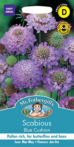 Mr. Fothergill's 10971 Paquet de 50 graines de Scabieuse pourpre foncé