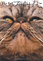 Cat Glue We are Busa (2012) ISBN: 4041100909 [Japanese Import] 4041100909 Book Cover