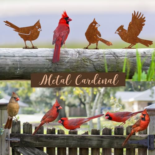 5PCS-Rusty-Birds-Decoration-Fence-Decorations-Outdoor-Metal-Birds-Yard-Decor-Perfect-Yard-Art-and-Large-Outdoor-Ornaments-Cardinal-Gifts 5PCS Rusty Birds Decoration Fence Decorations Outdoor Metal Birds Yard Decor Perfect Yard Art and Large Outdoor Ornaments Cardinal Gifts